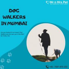 Are you looking for an expert dog walking service near you in Mumbai? Mr. N Mrs. Pet has dog trainers with over 10 years of experience providing reliable and loving care to your beloved companion. For expert dog walking services visit our website and book your trainer.
Visit Site : https://www.mrnmrspet.com/dog-walking-in-mumbai

