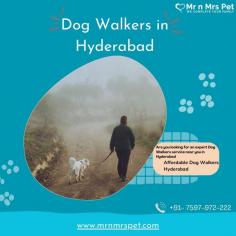 Are you looking for an expert dog walking service near you in Hyderabad? Mr. N Mrs. Pet has dog trainers with over 10 years of experience providing reliable and loving care to your beloved companion. For expert dog walking services visit our website and book your trainer.
Visit Site : https://www.mrnmrspet.com/dog-walking-in-hyderabad

