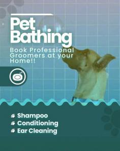 Mr n Mrs Pet the best dog grooming services at home in Bangalore. We offer provides pet grooming services like, bathing, hair cutting, nail clipping, ear cleaning, and Pet Grooming service at Home in Bangalore, Karnataka.

Visit site : https://www.mrnmrspet.com/dog-grooming-in-bangalore
