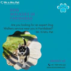 Are you looking for an expert dog walking service near you in Faridabad? Mr. N Mrs. Pet has dog trainers with over 10 years of experience providing reliable and loving care to your beloved companion. For expert dog walking services visit our website and book your trainer.
Visit Site : https://www.mrnmrspet.com/dog-walking-in-faridabad
