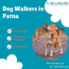 Are you looking for an expert dog walking service near you in Patna? Mr. N Mrs. Pet has dog trainers with over 10 years of experience providing reliable and loving care to your beloved companion. For expert dog walking services visit our website and book your trainer.
Visit Site : https://www.mrnmrspet.com/dog-walking-in-patna
