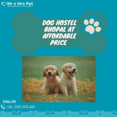 Are you looking for affordable dog boarding services near you in Bhopal? Mr N Mrs Pet specializes in dog boarding services and provides professional pet hostel in Bhopal. For dog boarding services visit our website and book your hostel.
Visit Site : https://www.mrnmrspet.com/dog-hostel-in-bhopal
