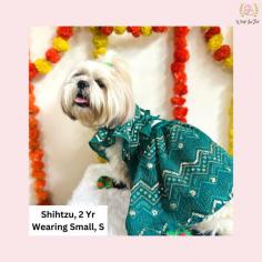 Buy Green Golden dog lehenga choli is designed for festive and wedding celebration ! Suitable for all breeds, it is crafted from premium fabric with cotton lining inside, which gives it a luxurious look and feel. 