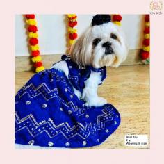 Buy blue dog lehenga, give perfect indian outfit for dogs vibe. It is perfect for festive and wedding celebration. It is available all sizes to fit all breeds. This blue  dog lehenga starts at Rs.2099.