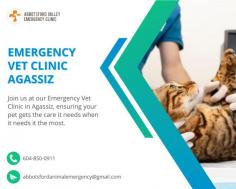 Trusted Emergency Vet Clinic in Agassiz

Visit Abbotsford Vet Emergency's exceptional emergency vet clinic in Agassiz for compassionate veterinary care during emergencies. Our experienced veterinarians and caring staff are committed to providing prompt and comprehensive care for your pets when they need it most. With advanced facilities and a dedication to excellence, we prioritize your pet's well-being and offer the highest standard of care in Agassiz.