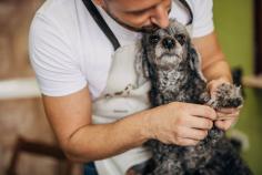 Dog Grooming in Bhubaneswar: Dog Baths, Haircuts, Nail Trimming	

Book dog grooming services at home in bhubaneswar today with Mr N Mrs Pet. The best offers in pet grooming, bathing, trimming, nail trimming, pet spa, ear cleaning and dog grooming in bhubaneswar.

View Site: https://www.mrnmrspet.com/dog-grooming-in-bhubaneswar

