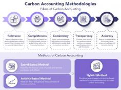 Exploring Diverse Approaches to Carbon Accounting Methods | Terrascope

Discover diverse methods and approaches in carbon accounting with Terrascope. Explore how we measure and manage carbon emissions. Visit Terrascope now.
