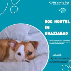 Are you looking for affordable dog boarding services near you in Ghaziabad? Mr N Mrs Pet specializes in dog boarding services and provides professional pet hostel in Ghaziabad. For dog boarding services visit our website and book your hostel.
Visit Site : https://www.mrnmrspet.com/dog-hostel-in-ghaziabad
