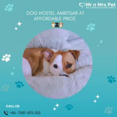 Are you looking for affordable dog boarding services near you in Amritsar? Mr N Mrs Pet specializes in dog boarding services and provides professional pet hostel in Amritsar. For dog boarding services visit our website and book your hostel.
Visit Site : https://www.mrnmrspet.com/dog-hostel-in-amritsar
