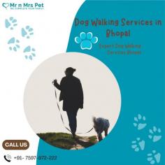 Are you looking for an expert dog walking service near you in Bhopal? Mr. N Mrs. Pet has dog trainers with over 10 years of experience providing reliable and loving care to your beloved companion. For expert dog walking services visit our website and book your trainer.
Visit SITE : https://www.mrnmrspet.com/dog-walking-in-bhopal
