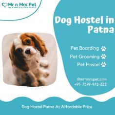 Are you looking for affordable dog boarding services near you in Patna? Mr N Mrs Pet specializes in dog boarding services and provides professional pet hostel in Patna. For dog boarding services visit our website and book your hostel.
Visit Site : https://www.mrnmrspet.com/dog-hostel-in-patna
