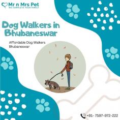 Are you looking for an expert dog walking service near you in Bhubaneswar? Mr. N Mrs. Pet has dog trainers with over 10 years of experience providing reliable and loving care to your beloved companion. For expert dog walking services visit our website and book your trainer.
Visit Site : https://www.mrnmrspet.com/dog-walking-in-bhubaneswar
