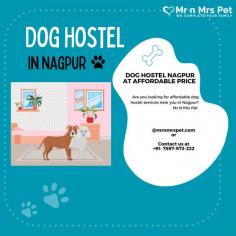 Are you looking for affordable dog boarding services near you in Nagpur? Mr N Mrs Pet specializes in dog boarding services and provides professional pet hostel in Nagpur. For dog boarding services visit our website and book your hostel.
Visit Site : https://www.mrnmrspet.com/dog-hostel-in-nagpur
