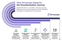 The Essential Push for Decarbonization in Corporate Giants | Terrascope

Delve into the significance of decarbonization for large enterprises with Terrascope. Explore the imperative for businesses to reduce carbon emissions. Visit Terrascope now.
