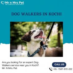 Are you looking for an expert dog walking service near you in Kochi? Mr. N Mrs. Pet has dog trainers with over 10 years of experience providing reliable and loving care to your beloved companion. For expert dog walking services visit our website and book your trainer.
Visit Site : https://www.mrnmrspet.com/dog-walking-in-kochi
