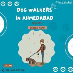Are you looking for an expert dog walking service near you in Ahmedabad? Mr. N Mrs. Pet has dog trainers with over 10 years of experience providing reliable and loving care to your beloved companion. For expert dog walking services visit our website and book your trainer.
Visit Site : https://www.mrnmrspet.com/dog-walking-in-ahmedabad

