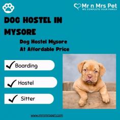 Are you looking for affordable dog boarding services near you in Mysore? Mr N Mrs Pet specializes in dog boarding services and provides professional pet hostel in Mysore. For dog boarding services visit our website and book your hostel.
Visit Site : https://www.mrnmrspet.com/dog-hostel-in-mysore
