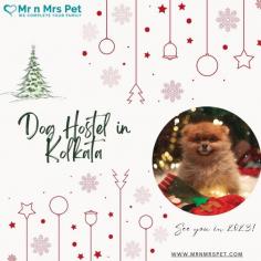 Pet Boarding Service in Kolkata, West Bengal: Mr n Mrs Pet offers the best home-based dog boarding service in Kolkata near you. Like dog daycare, drop-in visits, house sitting, and a dog hostel in Kolkata.
Visit Site : https://www.mrnmrspet.com/dog-hostel-in-kolkata
