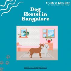 Pet Boarding Service in Bangalore, Karnataka: Mr n Mrs Pet offers the best home-based dog boarding service in Bangalore near you. Like dog daycare, drop-in visits, house sitting, and a dog hostel in Bangalore.
Visit Site : https://www.mrnmrspet.com/dog-hostel-in-bangalore
