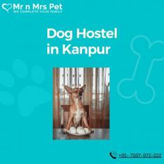 Are you looking for affordable dog boarding services near you in Kanpur? Mr N Mrs Pet specializes in dog boarding services and provides professional pet hostel in Kanpur. For dog boarding services visit our website and book your hostel.
Visit Site : https://www.mrnmrspet.com/dog-hostel-in-kanpur
