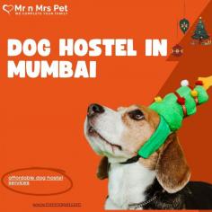 Pet Boarding Service in Mumbai, Maharashtra: Mr n Mrs Pet offers the best home-based dog boarding service in Mumbai near you. Like dog daycare, drop-in visits, house sitting, and a dog hostel in Mumbai.
Visit Site : https://www.mrnmrspet.com/dog-hostel-in-mumbai
