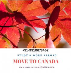 Canadian Student Visa is the first preferable choice of almost all the Indian Students for Higher Studies but there are so many other options are also available these days. We are working as a Study Abroad Consultants and helping Students to get the admissions in Canada, Australia, New Zealand, Ireland, USA & UK. https://nascentimmigration.com/