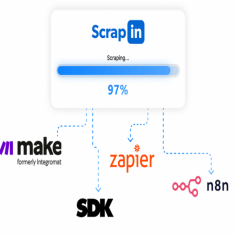 Linkedin Scraper Tool | Scrapin.io

Discover the power of Scrapin.io - the leading LinkedIn scraper tool that helps you extract valuable data from LinkedIn profiles quickly and easily. Get the most out of your LinkedIn research with our intuitive, user-friendly platform.

visit us:- https://www.scrapin.io/


