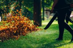 Autumnal Splendor: A Guide to Keeping Your Artificial Grass Gorgeous

Read more - https://www.artificialgrassgb.co.uk/blog/autumnal-splendor-a-guide-to-keeping-your-artificial-grass-gorgeous.html