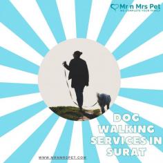 Are you looking for an expert dog walking service near you in Surat? Mr. N Mrs. Pet has dog trainers with over 10 years of experience providing reliable and loving care to your beloved companion. For expert dog walking services visit our website and book your trainer.
Visit Site : https://www.mrnmrspet.com/dog-walking-in-surat
