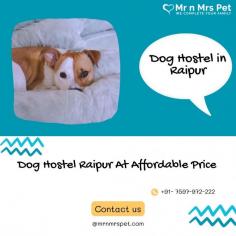 Are you looking for affordable dog boarding services near you in Raipur? Mr N Mrs Pet specializes in dog boarding services and provides professional pet hostel in Raipur. For dog boarding services visit our website and book your hostel.
Visit Site : https://www.mrnmrspet.com/dog-hostel-in-raipur

