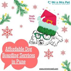 Pet Boarding Service in Pune, Maharashtra: Mr n Mrs Pet offers the best home-based dog boarding service in Pune near you. Like dog daycare, drop-in visits, house sitting, and a dog hostel in Pune.https://www.mrnmrspet.com/dog-hostel-in-pune

Visit Site : 