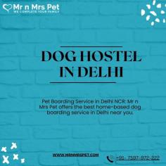 Pet Boarding Service in Delhi NCR: Mr n Mrs Pet offers the best home-based dog boarding service in Delhi near you. Like dog daycare, drop-in visits, house sitting, and a dog hostel in Delhi NCR.
Visit Site : https://www.mrnmrspet.com/dog-hostel-in-delhi
