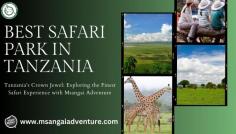 Dive into the vibrant tales woven across the vast landscapes of Tarangire National Park, where every chapter reveals the untold stories of the savannah. Msangai Adventure, with their deep understanding of the region, invites you to witness the awe-inspiring scenes of wildlife in their natural habitat, from the majestic elephants to the graceful giraffes and the myriad of other fascinating creatures that call Tarangire home. This safari experience is not just about observation; it's an interactive journey where Msangai Adventure provides insights into the behaviors, habitats, and interconnected stories of Tarangire's inhabitants. Traverse the iconic baobab-dotted terrain and witness the ebb and flow of life on the savannah, all while benefiting from the seasoned guidance of experienced safari leaders from Msangai Adventure.https://msangaiadventure.com/tarangire_national_park/