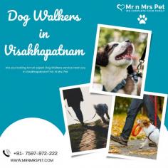 Are you looking for an expert dog walking service near you in Visakhapatnam? Mr. N Mrs. Pet has dog trainers with over 10 years of experience providing reliable and loving care to your beloved companion. For expert dog walking services visit our website and book your trainer.
Visit Site : https://www.mrnmrspet.com/dog-walking-in-visakhapatnam
