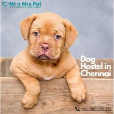 Pet Boarding Service in Chennai, Tamil Nadu: Mr n Mrs Pet offers the best home-based dog boarding service in Chennai near you. Like dog daycare, drop-in visits, house sitting, and a dog hostel in Chennai.
Visit Site : https://www.mrnmrspet.com/dog-hostel-in-chennai
