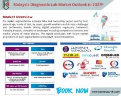 The potential of the Diagnostic Lab Sector with insightful perspectives. Explore opportunities, growth rates, and sector dynamics that contribute to the evolution of healthcare diagnostics.
