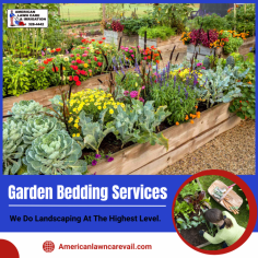 Expert Garden Bed Design and Installation

Elevate your gardening experience with our high-quality products for vibrant, thriving plants. We provide premium bedding solutions, offering durable materials and stylish designs.  For more information, mail us at scott.alc@hotmail.com.
