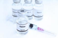 Explore safely! Learn about rabies prevention at Intrigue Health's travel clinic in Medway, Kent, or Bexley. Book your appointment online now!