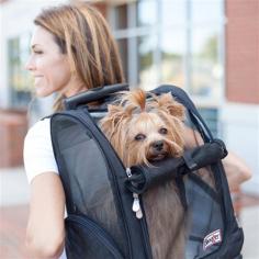 Designer Dog Bags from Posh Puppy Boutique


The Roll Around Pet Carrier Backpack is an approved airline dog, cat, and pet carrier that makes traveling with your pet easy with this design. Our carrier seamlessly converts into a backpack, car seat and pet bed, so you can bring your dog or cat just about anywhere. Available in three sizes and colors.

View More: https://www.poshpuppyboutique.com/pages/carriers
