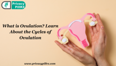Ovulation is complex yet a very important aspect of the menstrual cycle impacting both menstrual and reproductive health. Understanding what ovulation is, how to track it and being aware of the factors that could empower you to take good care of your overall health is crucial. 
Visit now: https://www.storeboard.com/blogs/health/what-is-ovulation-learn-about-the-cycles-of-ovulation/5715788