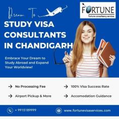 When it comes to Study Visa Consultants in Chandigarh, Fortune Visa Services shines as a reliable name in the industry. With their friendly team of experts, they strive to make the entire visa process a hassle-free experience for their clients. Whether you are planning to study abroad, work overseas, or simply explore new horizons, Fortune Visa Services is there to guide you every step of the way. To know more, visit our website today!