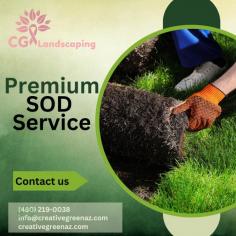 Transform your Phoenix landscape with premium SOD installation! From barren to breathtaking, watch your outdoor space flourish. Choose Phoenix's best, and let nature do the rest.