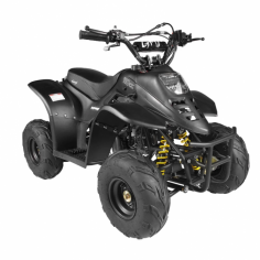 Go Skitz Rover Electric Quad Bike Black

New Drop from the electric range of Go Skitz brand is the Rover Electric Quad Bike. It's a full-packed electric kids quad with lights and music, dashboard display of power indicator and sound control. It also features one-start switch and combination switch that includes forward and backward functions and high and low speed control. Go Skitz Rover Electric Quad Bike can run up to 6km/h on a 12V7AH and with 550W motor. With real and big back shock suspension, this kids ride on cars will take you on an actual fun!

https://www.goeasyonline.com.au/ride-ons/go-skitz-rover-electric-quad-bike-black

#goeasyonline #kidsrideoncars