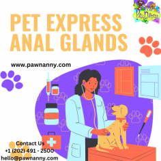 At Pawnanny, we understand that your pet's comfort is paramount. Introducing our specialized Pet Anal Gland Services – a tailored solution to bid farewell to discomfort. Our skilled professionals provide gentle and effective gland expression, ensuring your furry friend's well-being. Say goodbye to the worry of anal gland issues, and trust Pawnanny for expert care. We prioritize your pet's comfort, offering a comprehensive service that promotes a happy and healthy life. Choose Pawnanny, where compassionate care meets expertise, and your pet's comfort is our ultimate commitment. For more visit us on https://www.pawnanny.com/pet-anal-gland-expression-services
