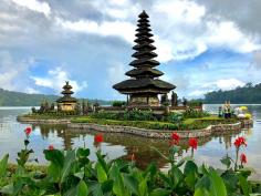 Bali is an island located in Indonesia and is among the top tourist hubs of the country. Bali Tourism has risen significantly in the past three decades with tourists from all across the globe flocking to the stunning island. Visit this gorgeous destination and take Flights to Bali to spend your holidays in paradise.