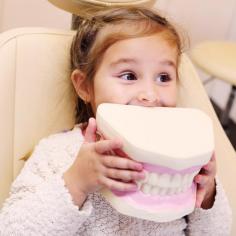 Early intervention is also known as phase 1 treatment. This treatment can only take place when the patient has mixed dentition, meaning the patient still has primary teeth with some permanent teeth erupted.