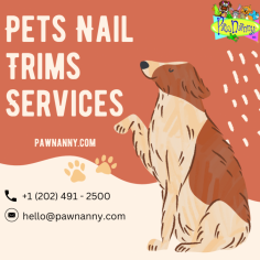 At Pawnanny, we redefine pet grooming with our signature 'Trim, Tidy, Thrive' nail services. Elevate your pet's comfort as our skilled professionals deliver precise and stress-free nail trims, ensuring optimal health and well-being. With meticulous care and attention, we prioritize your pet's safety and comfort throughout the process. Experience the joy of a well-groomed pet, ready to thrive with each step. Trust Pawnanny to provide the finest in nail care, because when it comes to your pet's happiness, every detail matters. For more visit us on https://www.pawnanny.com/pets-nail-trims-services
