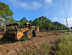 Are you seeking reliable land clearing services in Bay County Florida? Look no further. Our team handles these tough jobs day in and day out. We run the highest horsepower machines on the market to make sure you site prep, brush removal, invasive tree clearing, and forestry mulching jobs are handled correctly the first time. Contact us now for your land clearing solutions.
