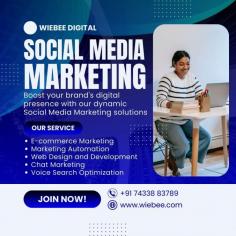Best Social Media Marketing Agency -  Wiebee Digital