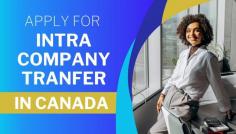Looking to understand the nuances of #CanadaIntraCompanyTransfer? Explore this comprehensive guide filled with expert insights and FAQs. https://canserves.com/canada-intra-company-transfer/
